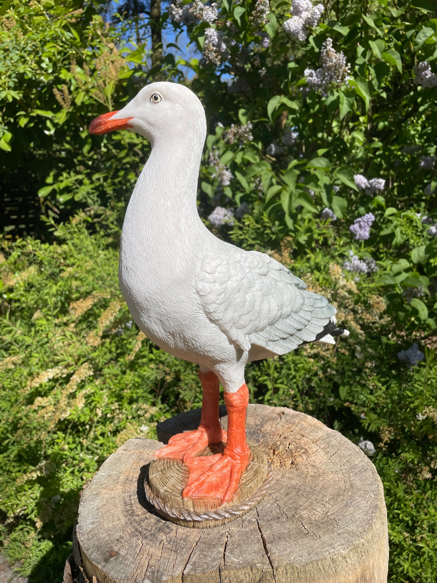 Meeuw, vogel, tuin, boerderij, vijver, zee 30cm
