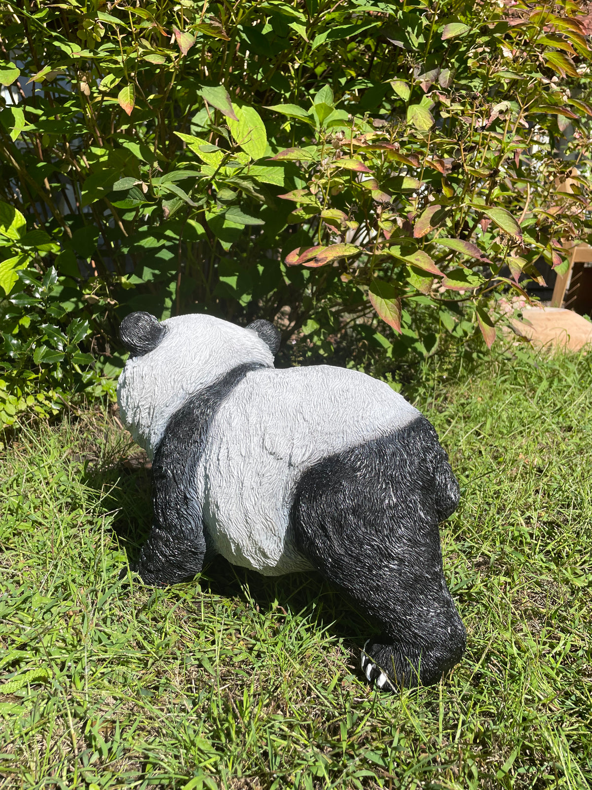 Panda lopend 50cm
