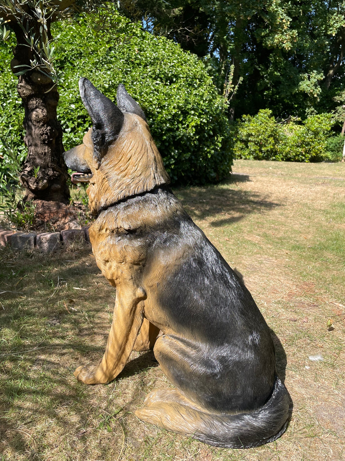(Tuin)Beeld Duitse herder orig, honden, tuin, vijver 75 cm