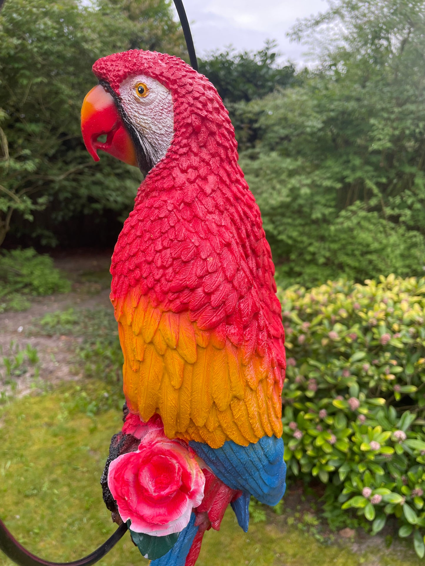 Beeld papegaai Rood tuin, zwembad, vijver, balkon 70cm
