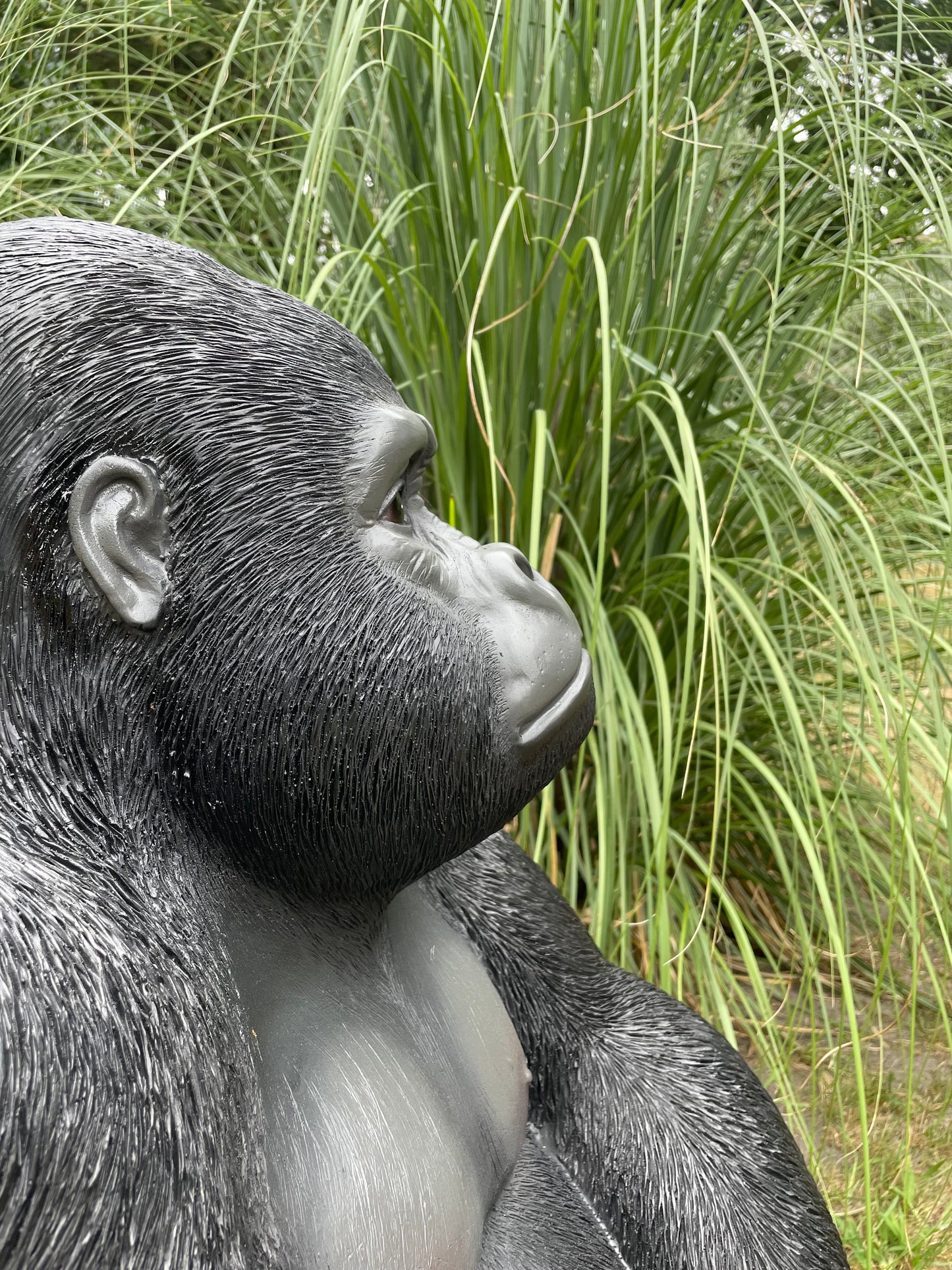 Beeld aap, gorilla, tuin, zwembad, vijver 80cm