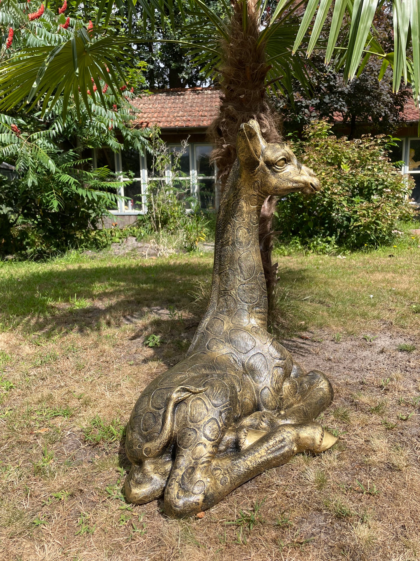 Tuinbeeld giraf giraffe zittend antiek goud 80cm