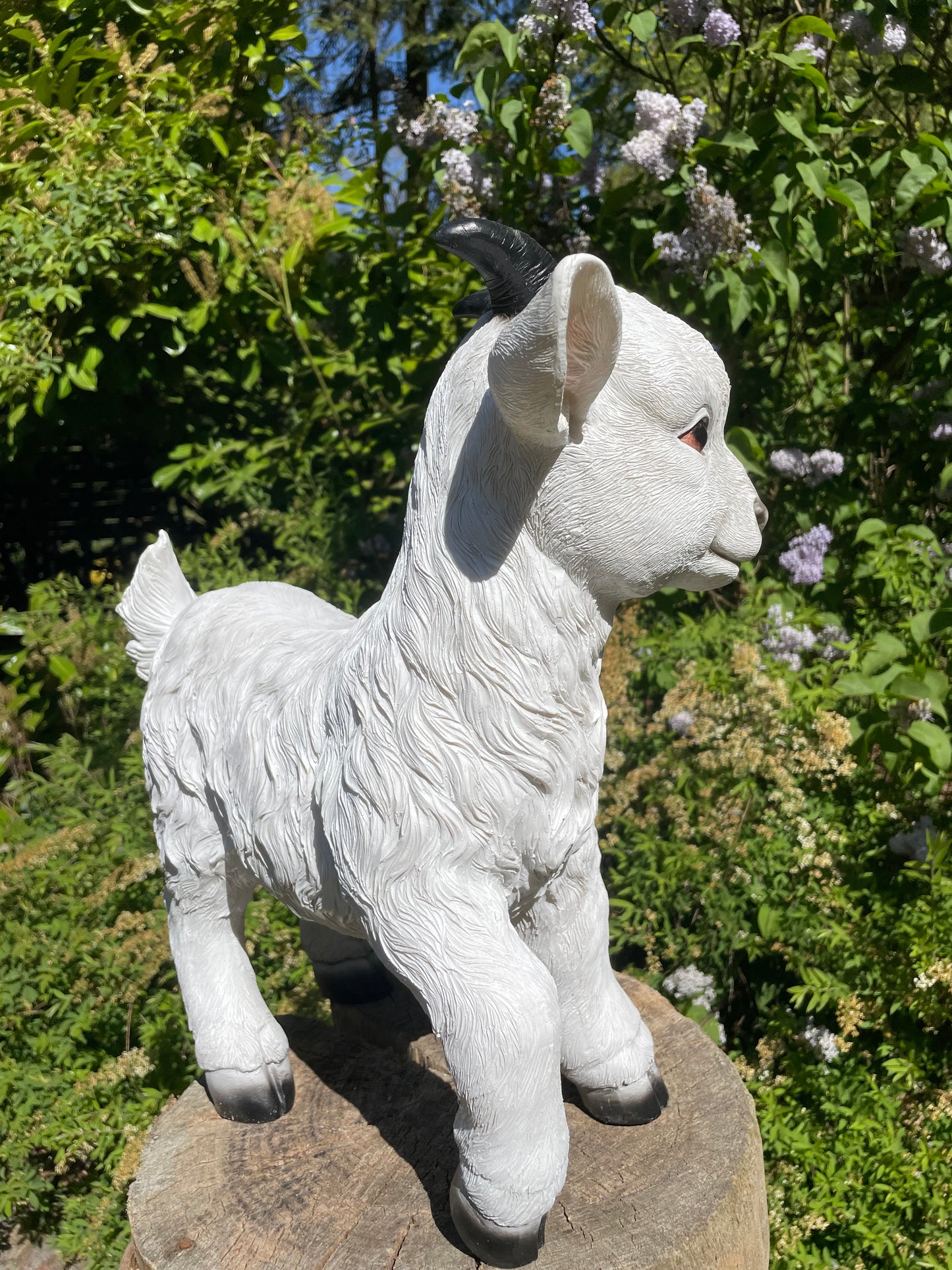 Geitjes, wit, tuin, boerderij, dierentuin 45cm