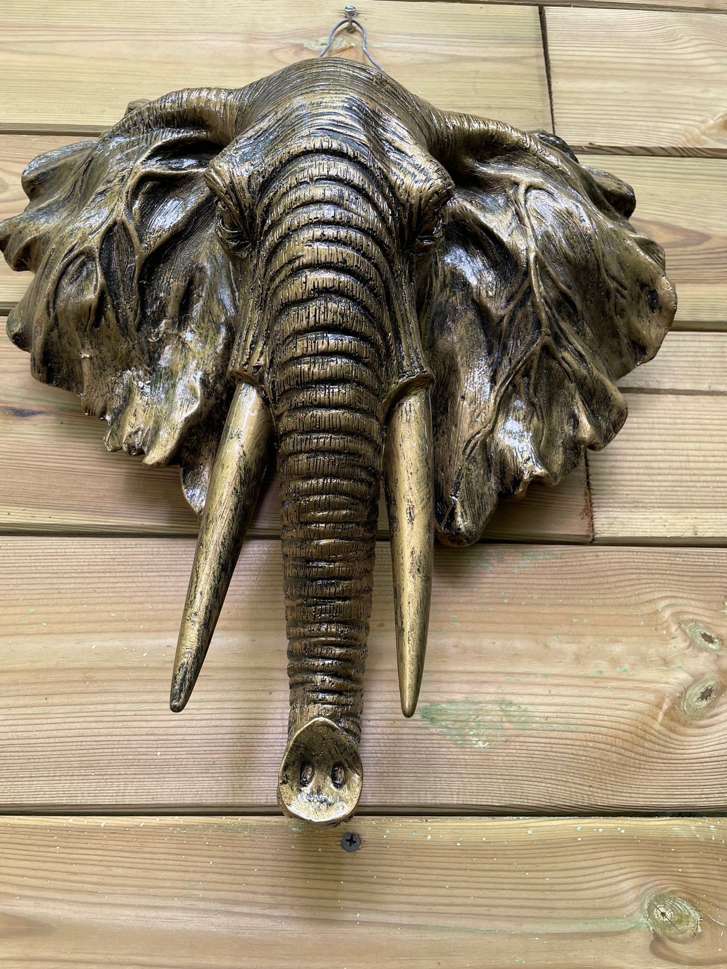 Beeld schild wand olifant tuin, dieren, dierentuin 30cm