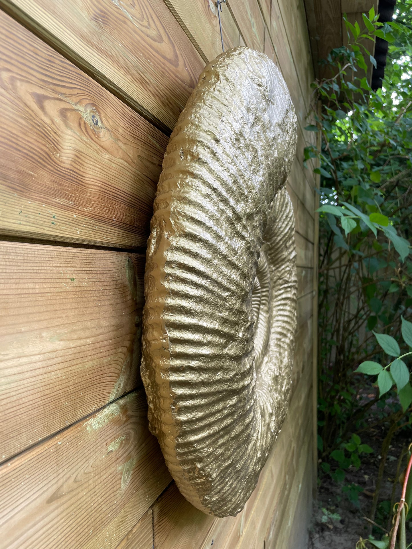Beeld schelp goud, woonkamer, slaapkamer, interieur 30cm