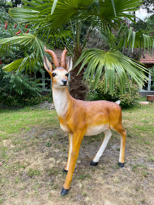 Tuinbeeld antilope , gazon, tuin, dierentuin, 130cm