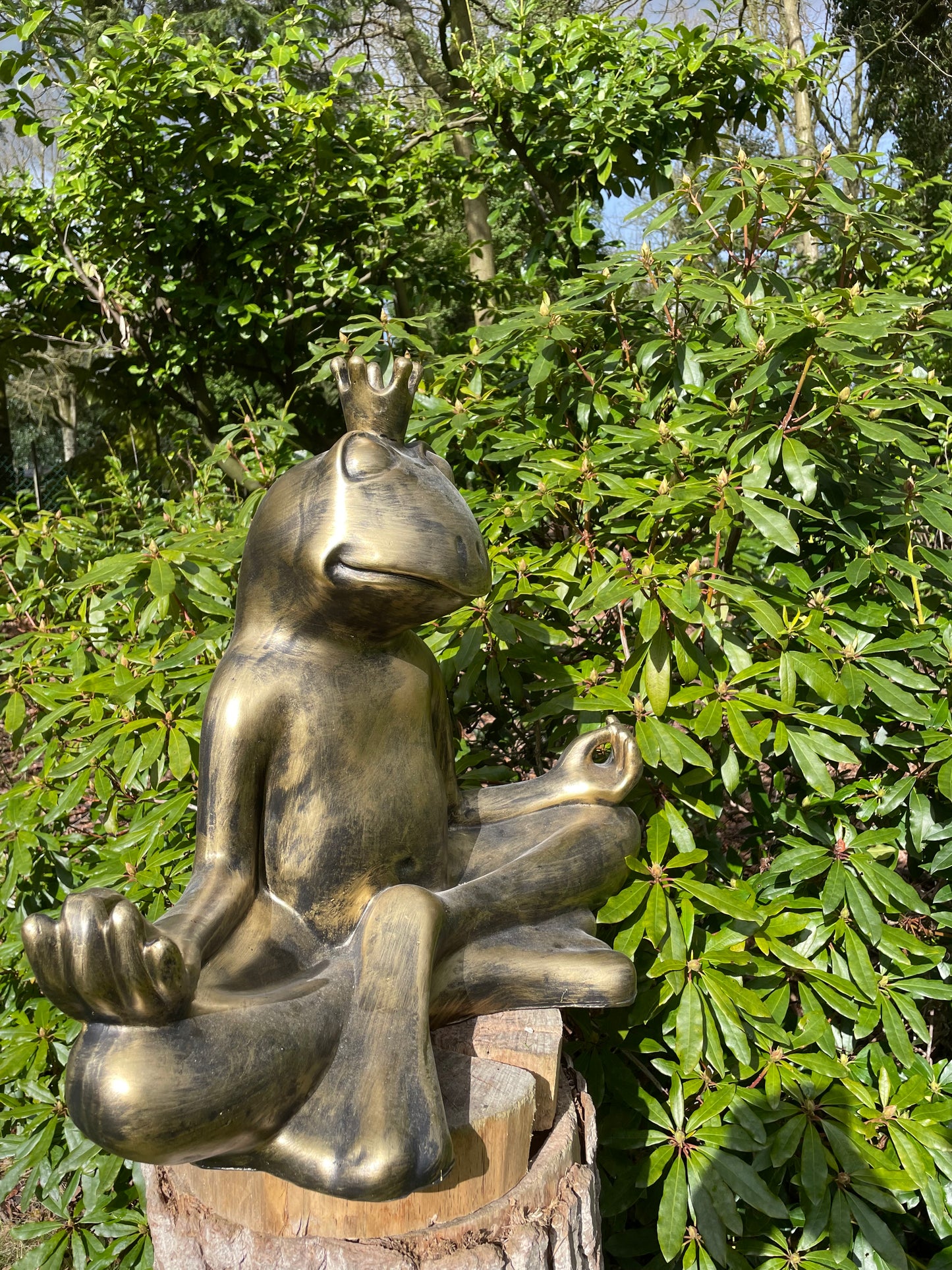 Beeld kikker, tuin, zen, zwembad, vijver yoga 60cm
