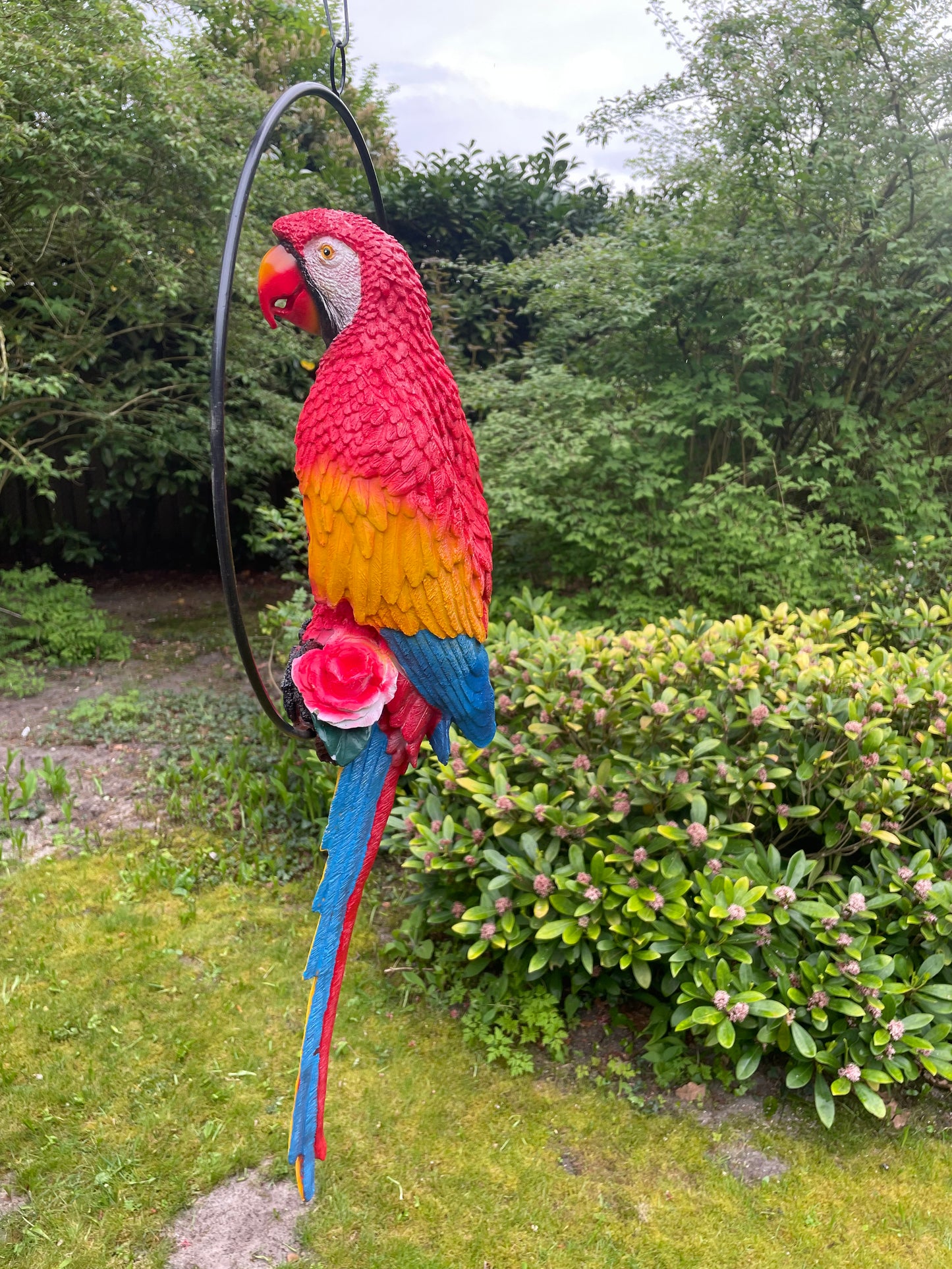 Beeld papegaai Rood tuin, zwembad, vijver, balkon 70cm