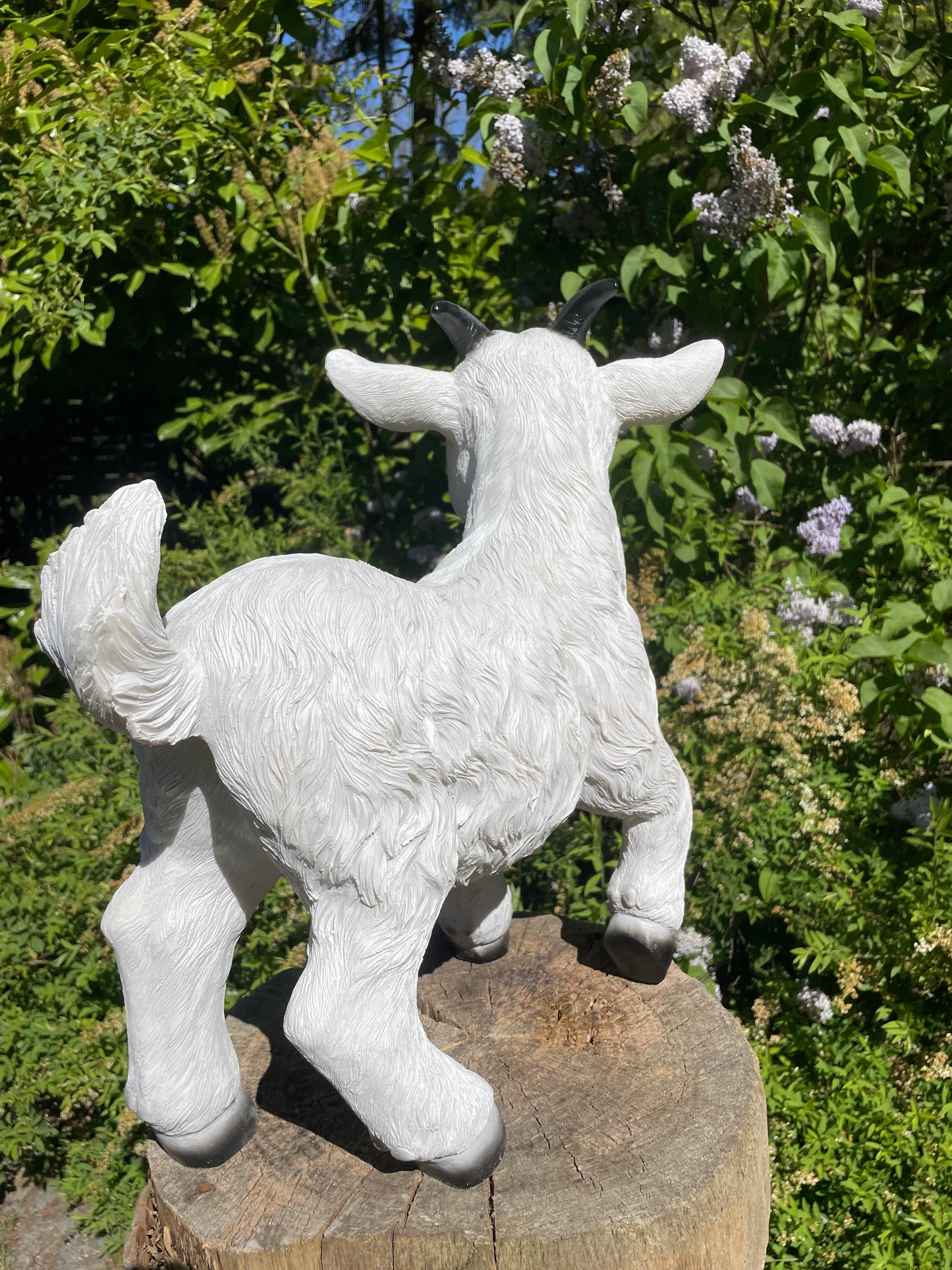 Geitjes, wit, tuin, boerderij, dierentuin 45cm
