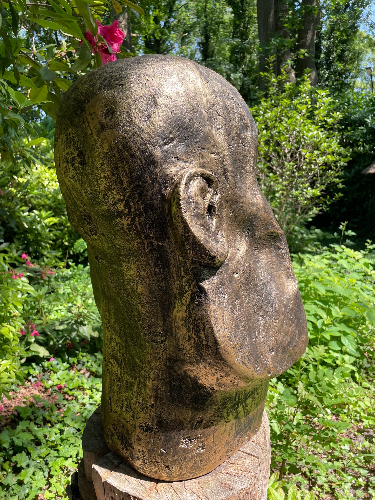MOAI man tandarts 65cm