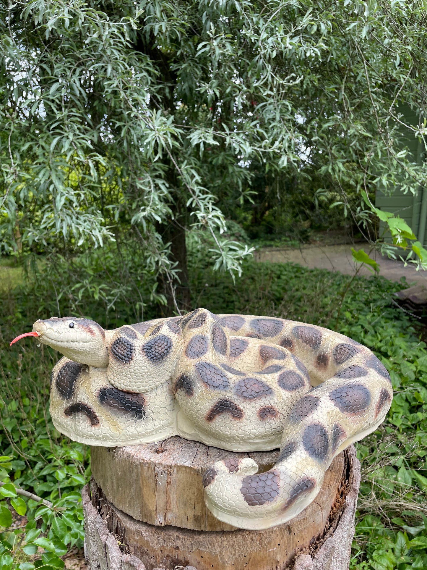 Beeld slang terrarium, dieren, dierentuin 45cm