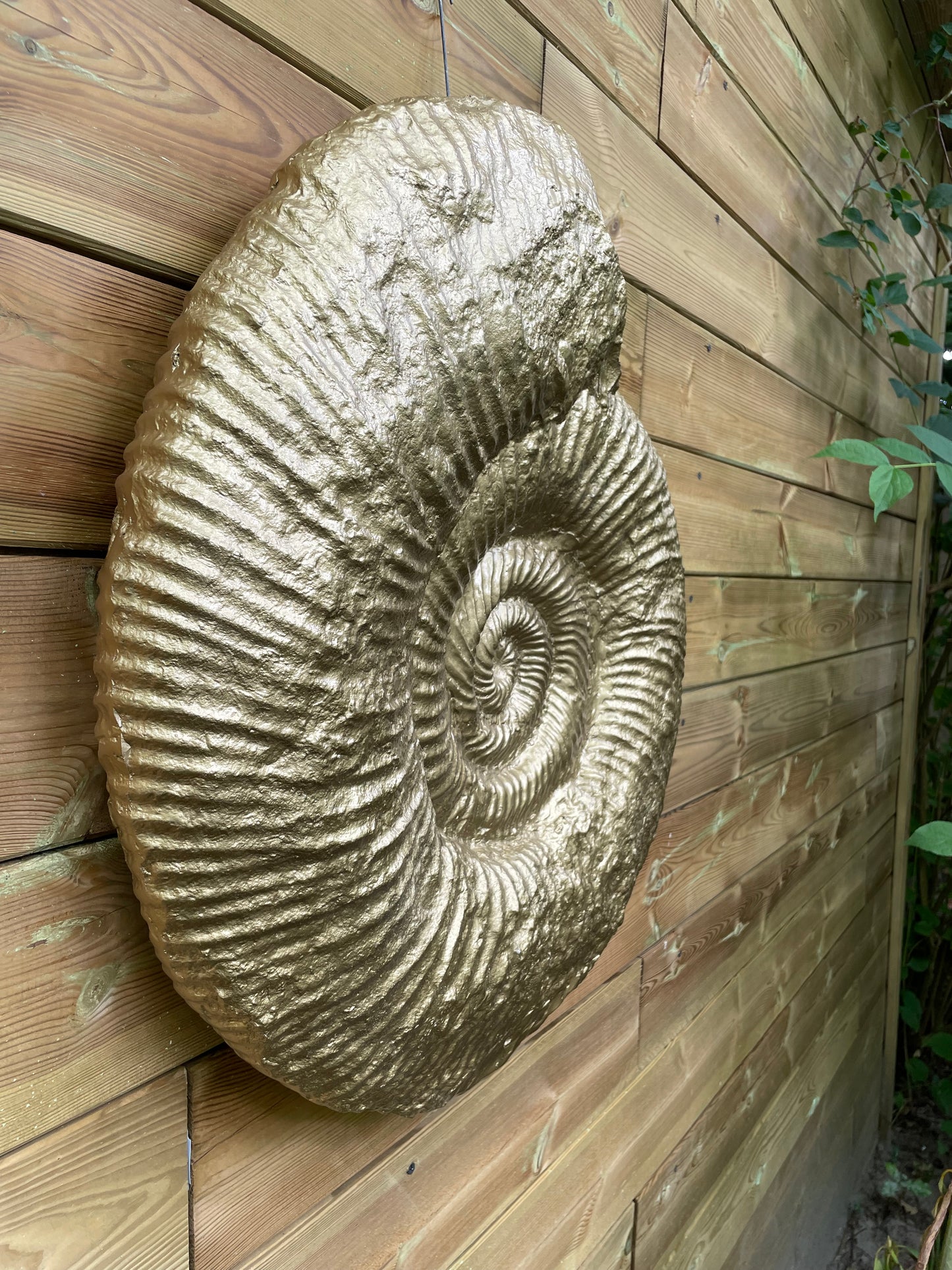 Beeld schelp goud, woonkamer, slaapkamer, interieur 30cm