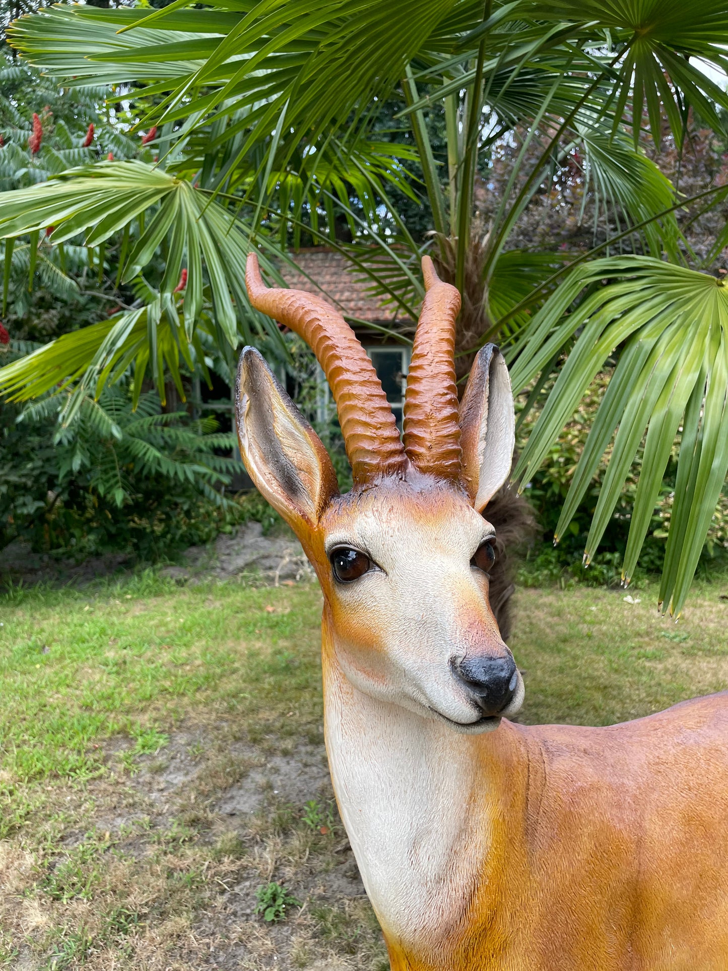 Tuinbeeld antilope , gazon, tuin, dierentuin, 130cm
