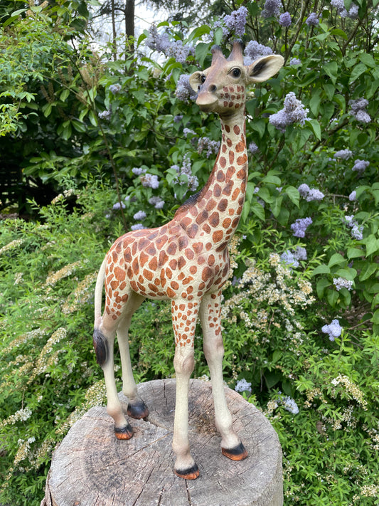 Giraf, staand, tuin, woonkamer, dierentuin 55cm