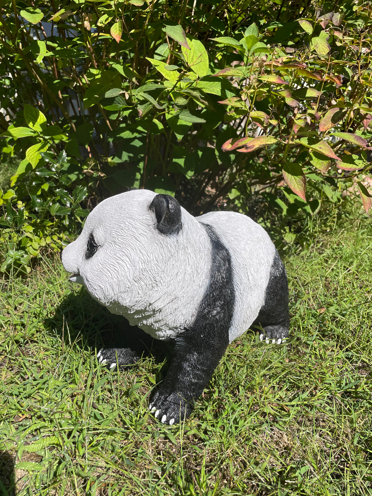 Panda lopend 50cm