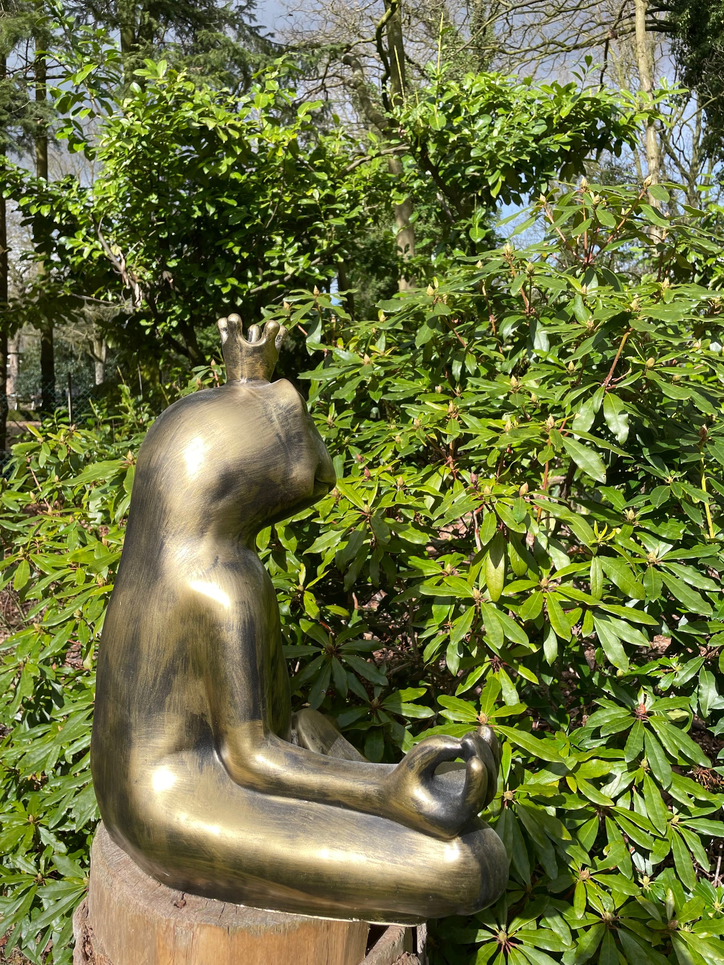 Beeld kikker, tuin, zen, zwembad, vijver yoga 60cm