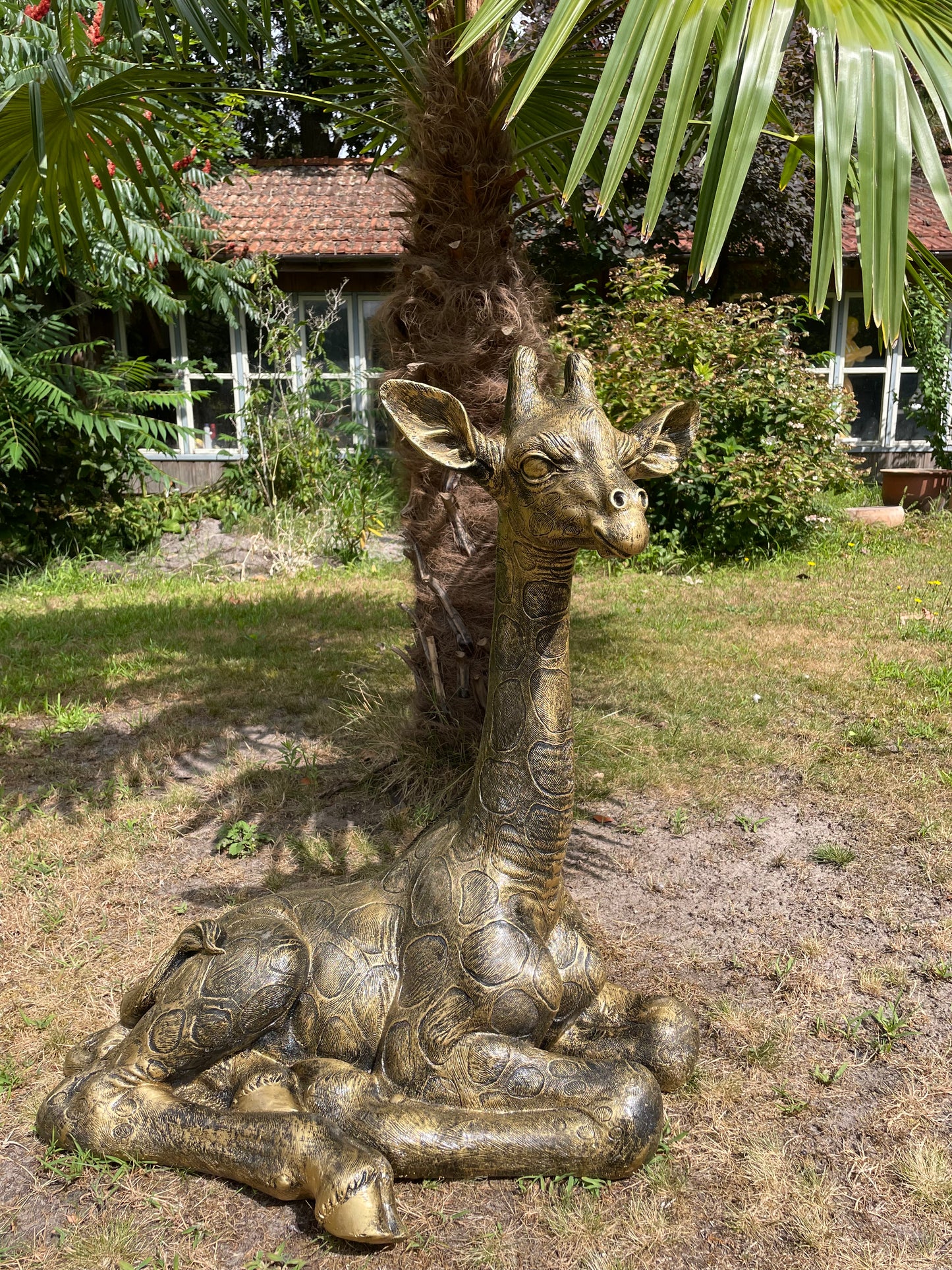 Tuinbeeld giraf giraffe zittend antiek goud 80cm