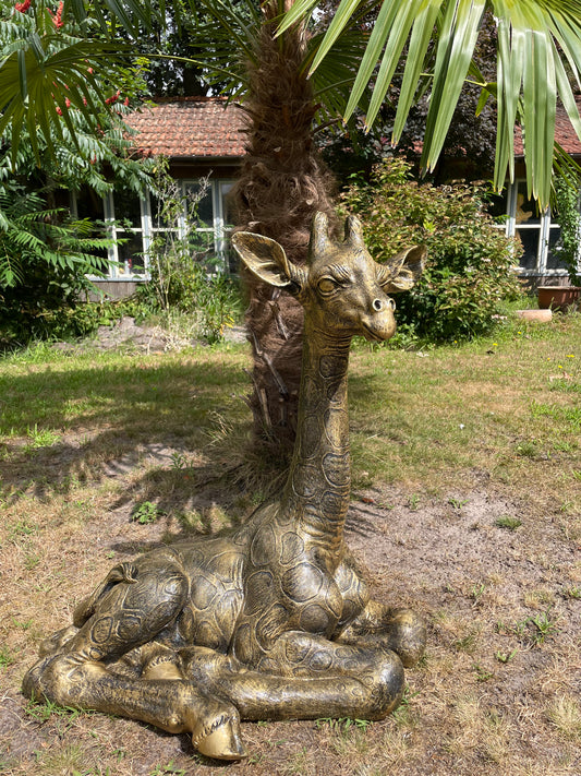 Tuinbeeld giraf giraffe zittend antiek goud 80cm
