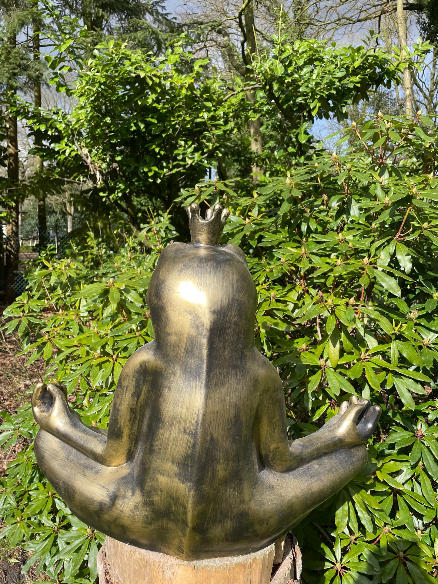 Beeld kikker, tuin, zen, zwembad, vijver yoga 60cm