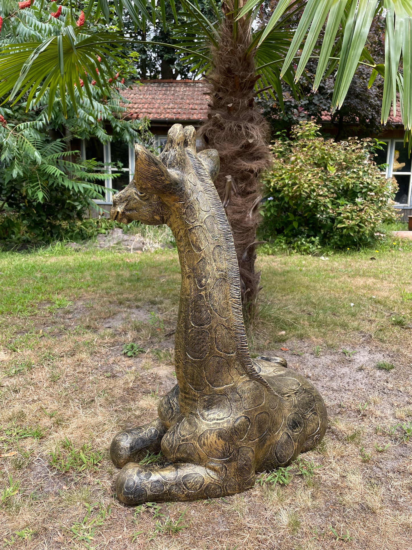 Tuinbeeld giraf giraffe zittend antiek goud 80cm