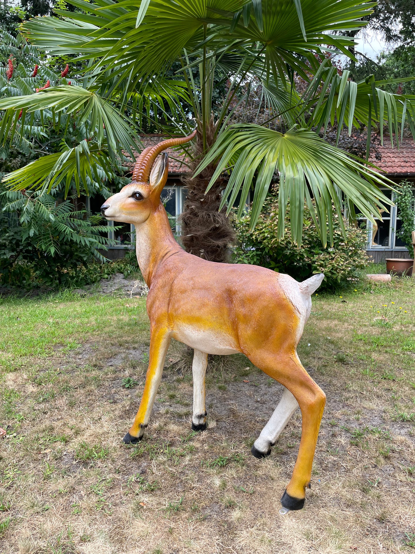 Tuinbeeld antilope , gazon, tuin, dierentuin, 130cm
