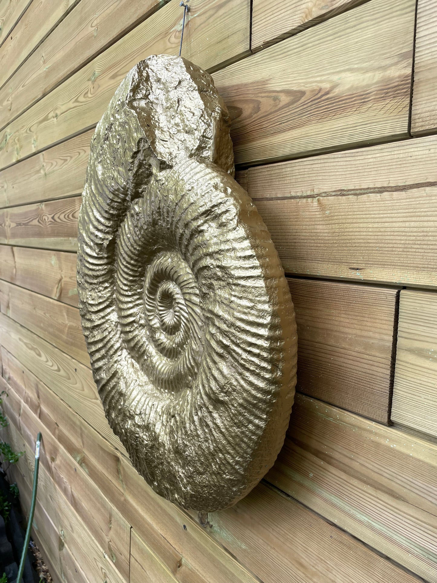 Beeld schelp goud, woonkamer, slaapkamer, interieur 30cm