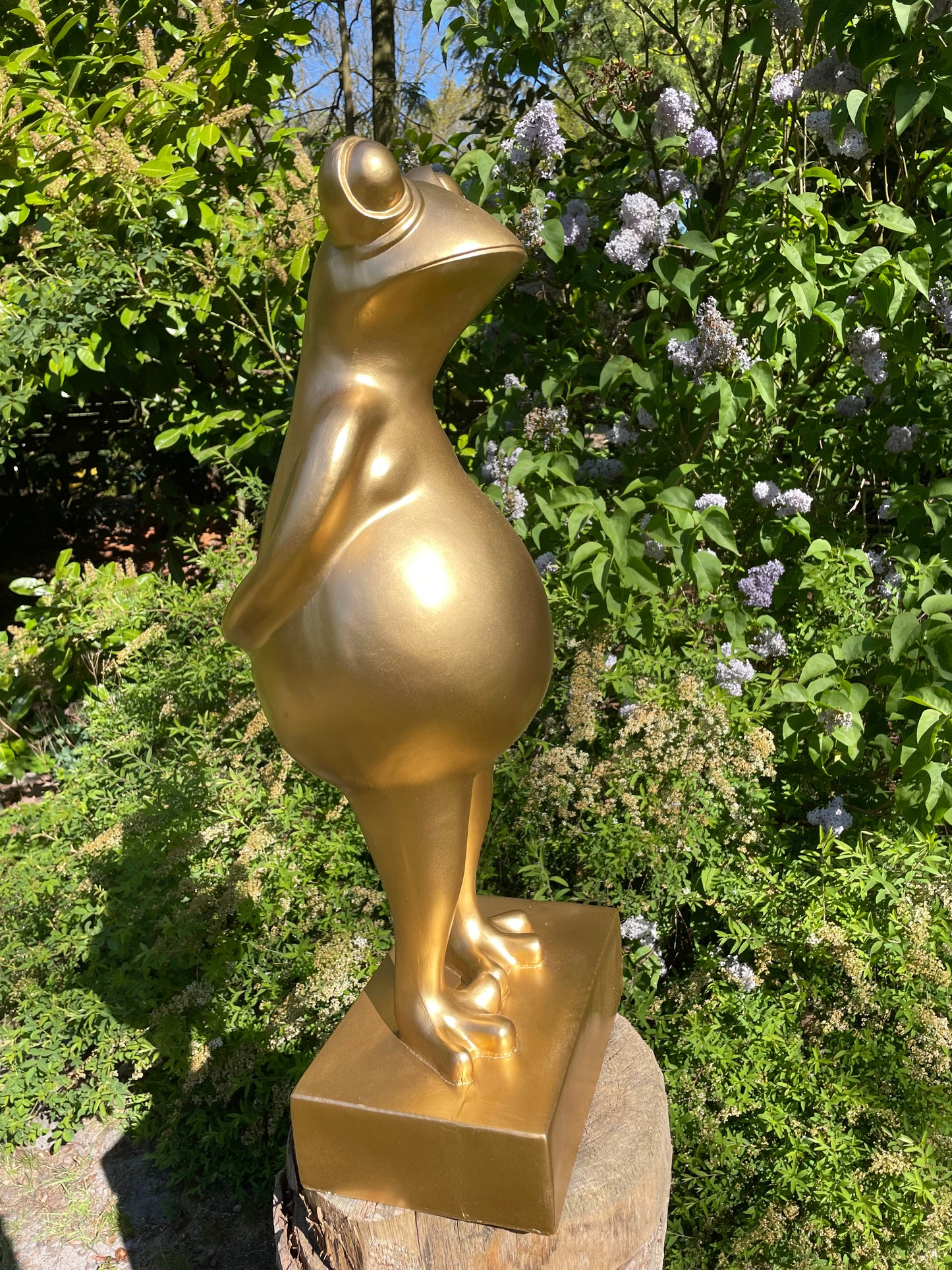 (Tuin)Beeld kikker goud, tuin, zen, zwembad, vijver yoga 80cm