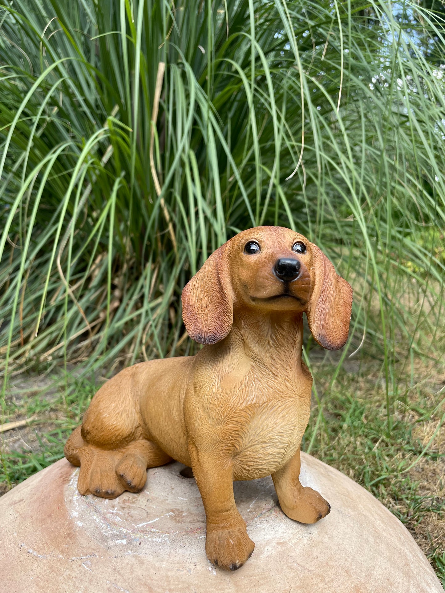 Beeld teckel, tekkel, zittend hond, tuin, gazon 30 cm