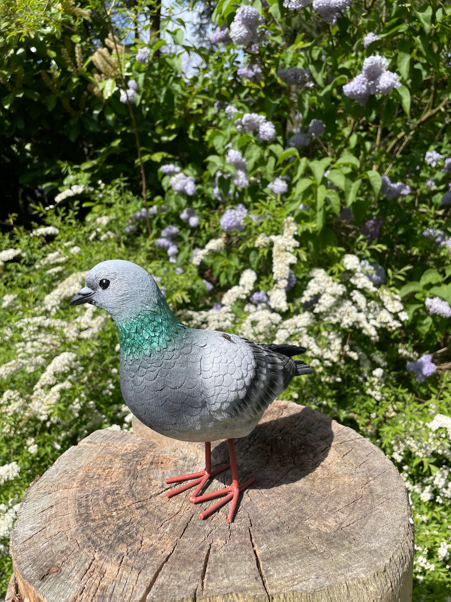 Beeld Postduiven Rechts grijs tuin, vijver, boerderij 26cm