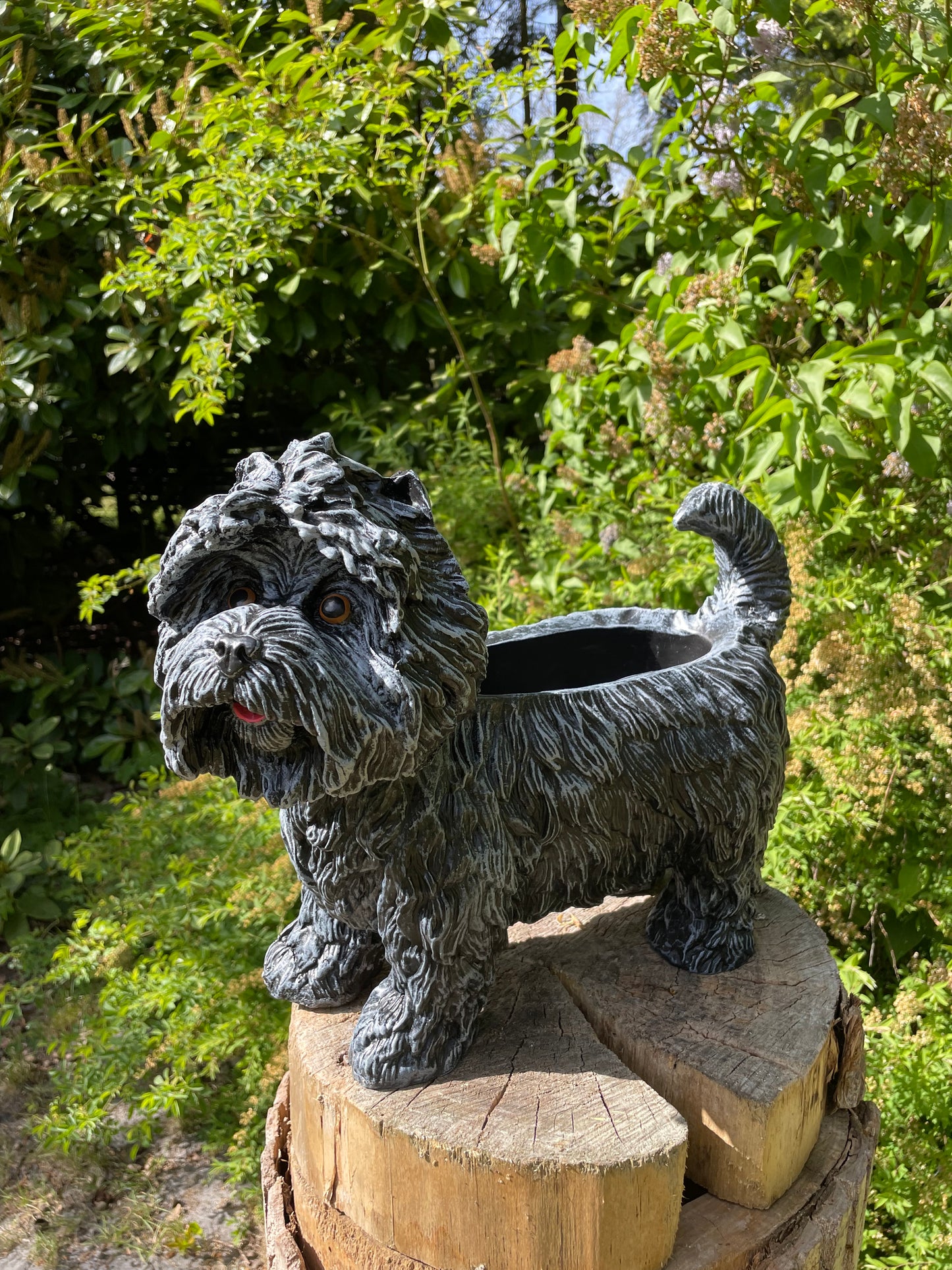 hond poedel plantenbak, tuin, gazon  45cm