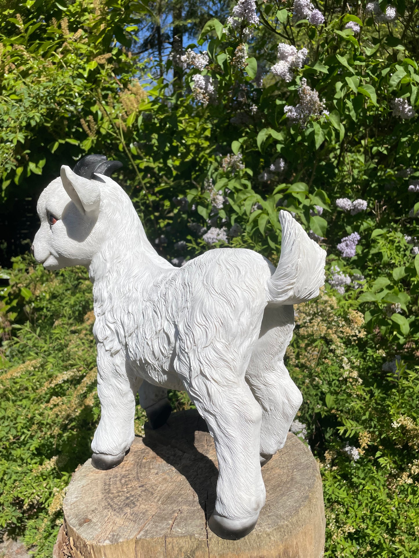 Geitjes, wit, tuin, boerderij, dierentuin 45cm