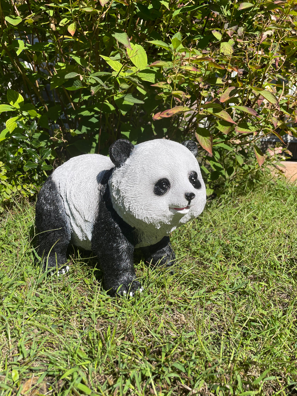 Panda lopend 50cm