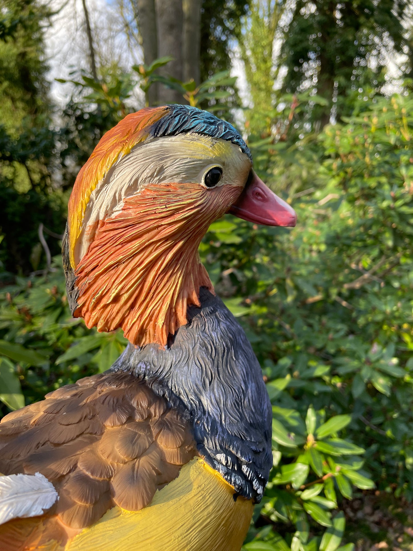 Mandarijn eend tuin, vijver, gazon, boerderij 40cm