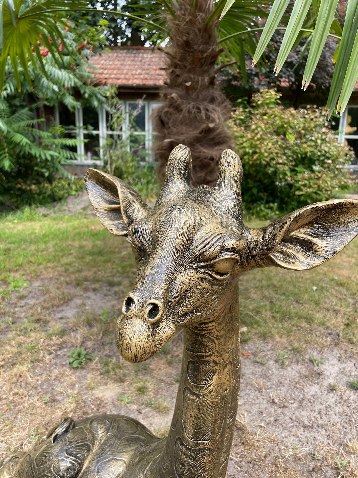 Tuinbeeld giraf giraffe zittend antiek goud 80cm