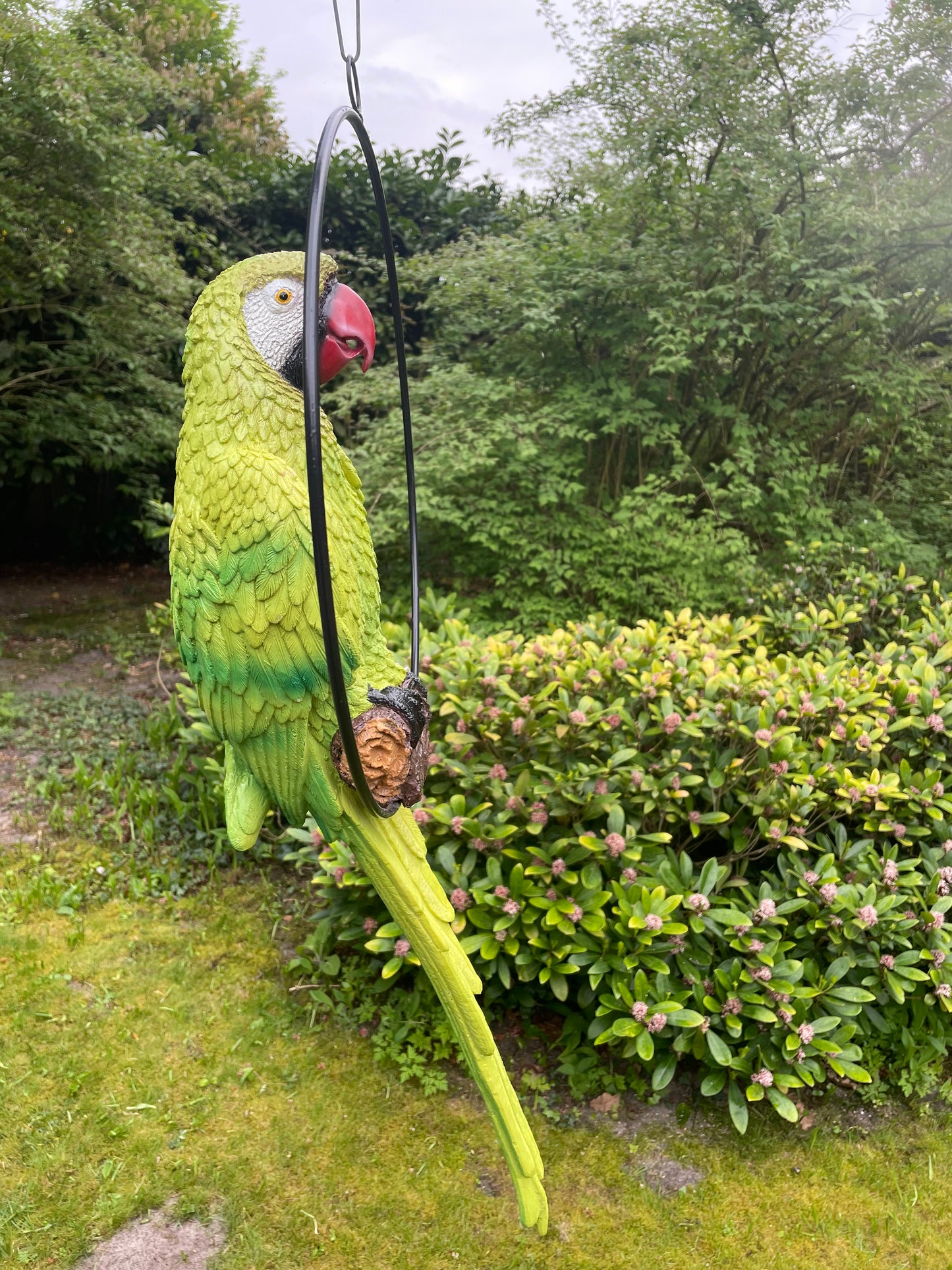 Beeld papegaai Groen tuin, zwembad, vijver, balkon 70cm