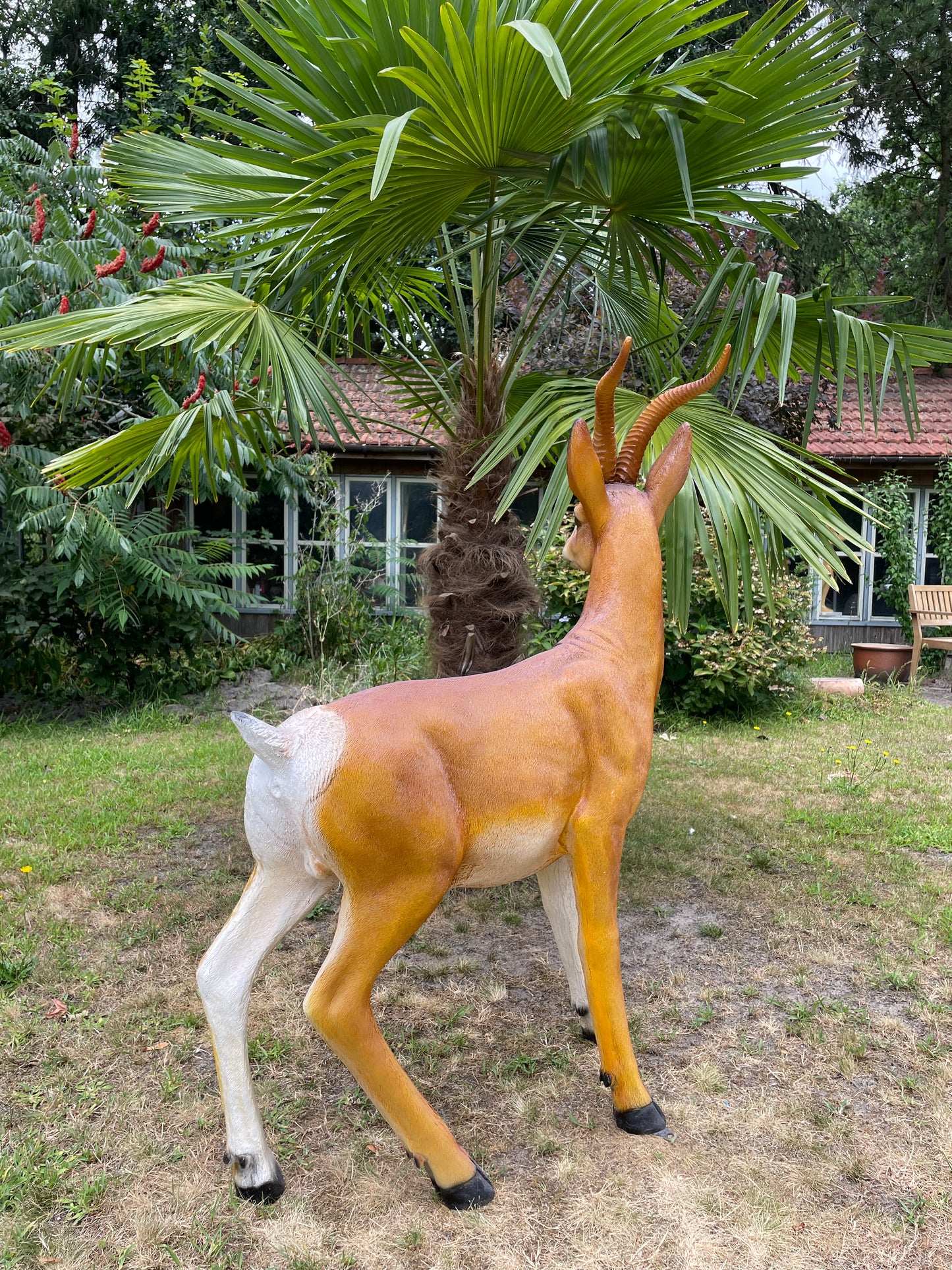 Tuinbeeld antilope , gazon, tuin, dierentuin, 130cm