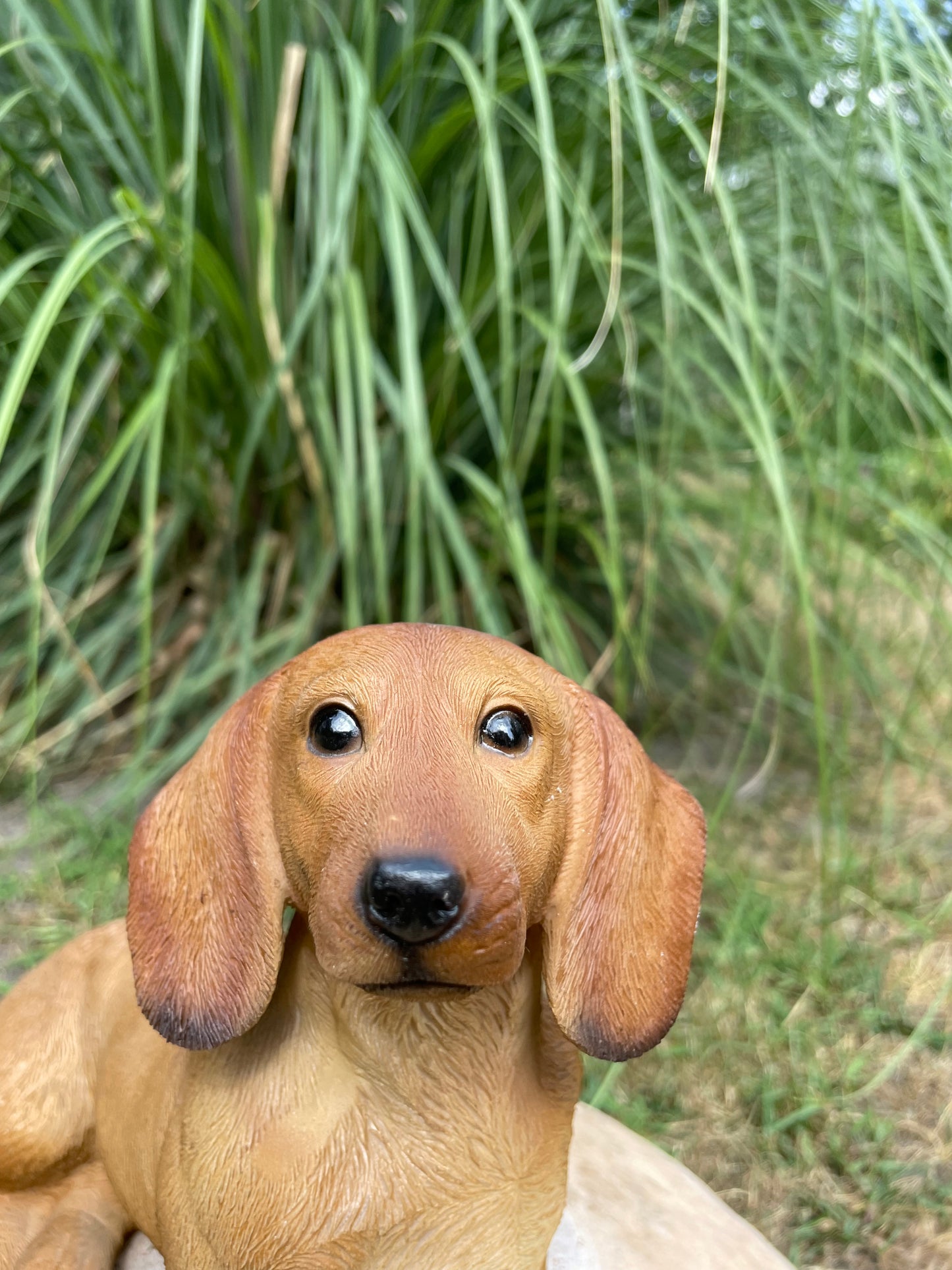 Beeld teckel, tekkel, zittend hond, tuin, gazon 30 cm