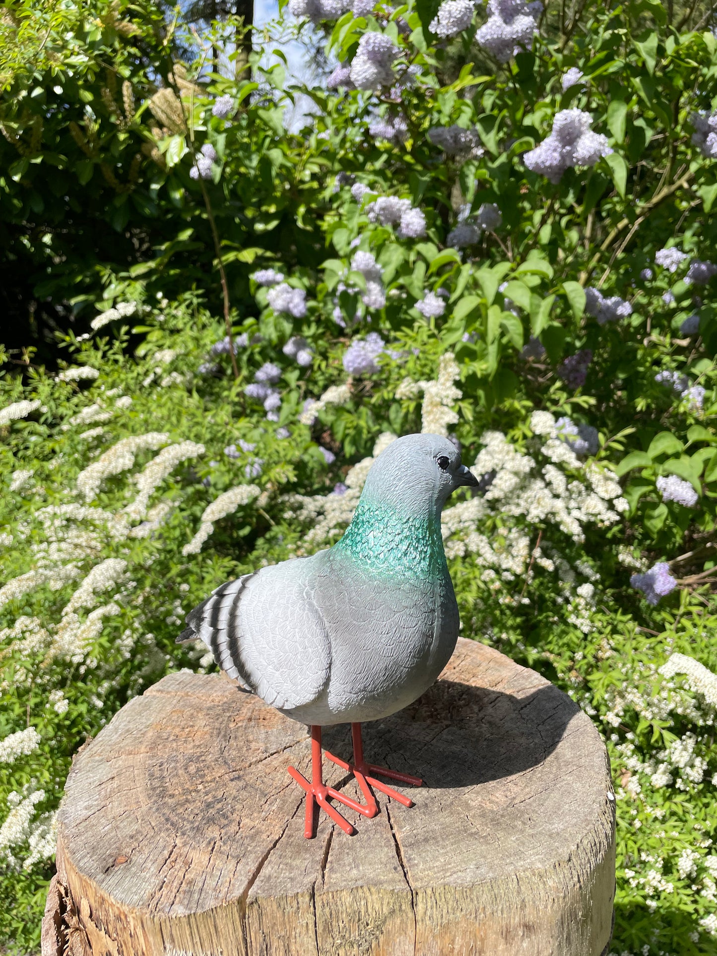 Beeld Postduiven grijs links tuin, vijver, boerderij, dierentuin 26cm