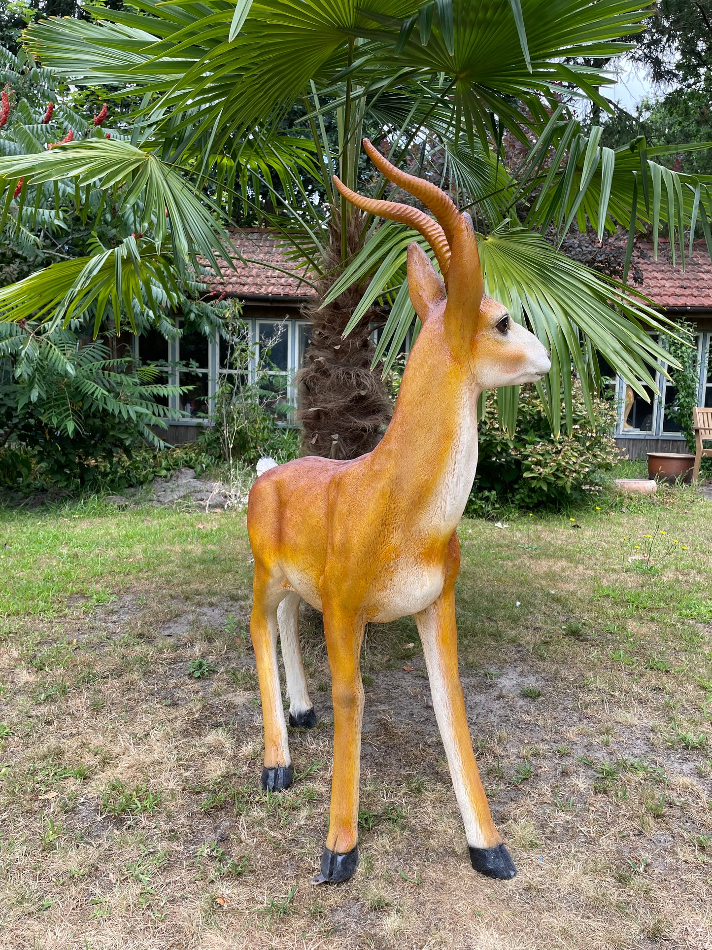 Tuinbeeld antilope , gazon, tuin, dierentuin, 130cm