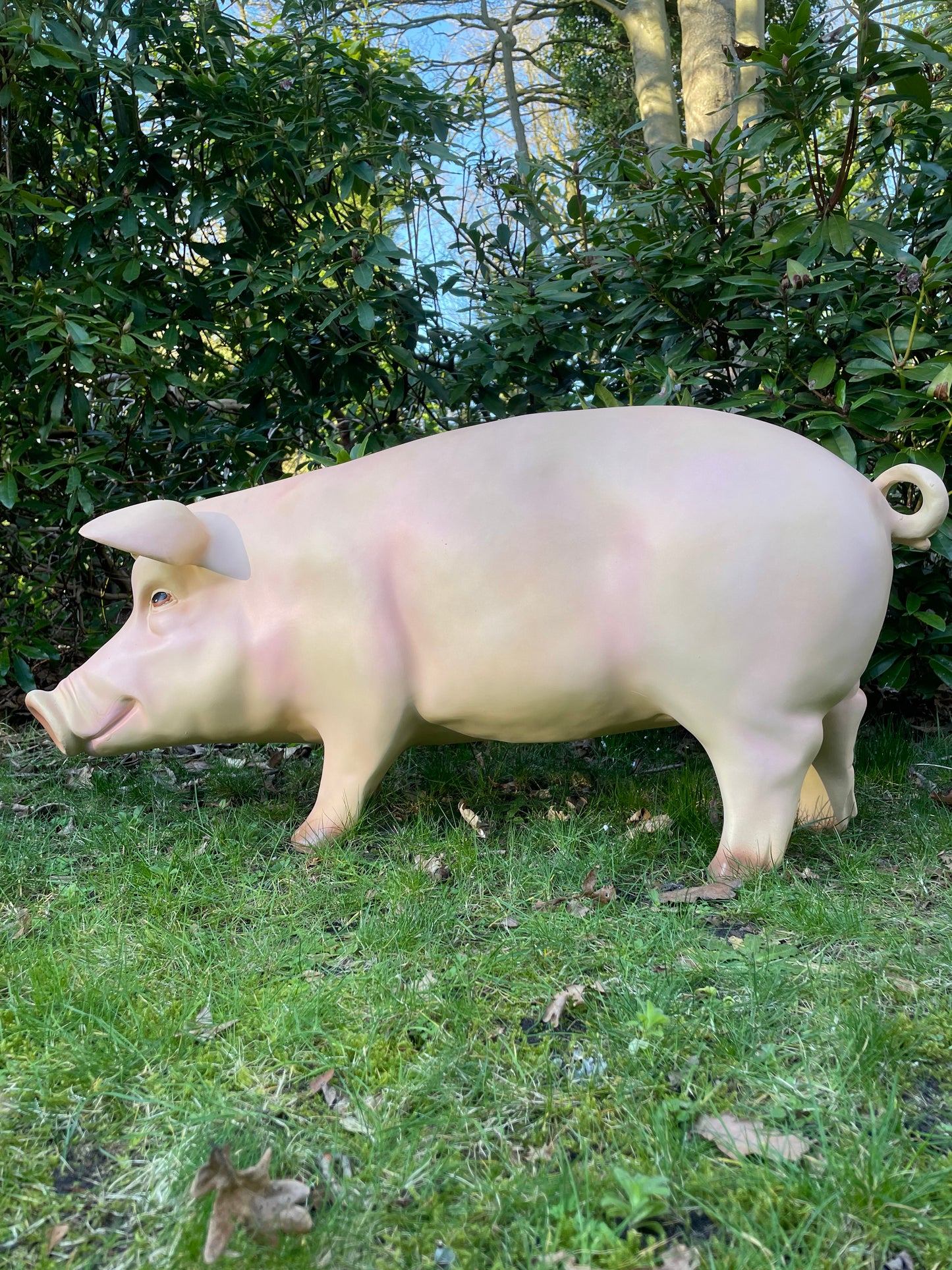 (Tuin)Beeld varken, tuin, gazon, manege, boerderij 100cm