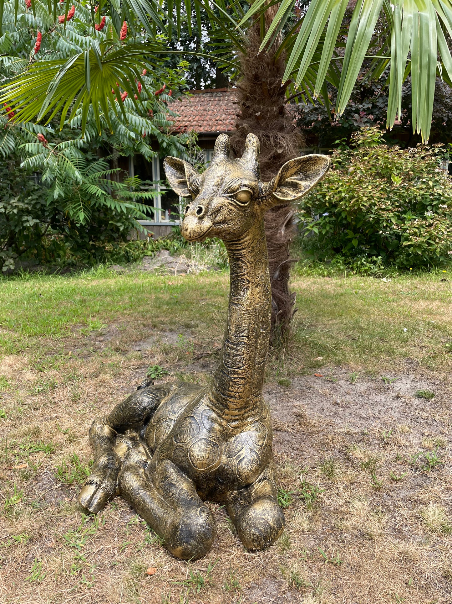Tuinbeeld giraf giraffe zittend antiek goud 80cm