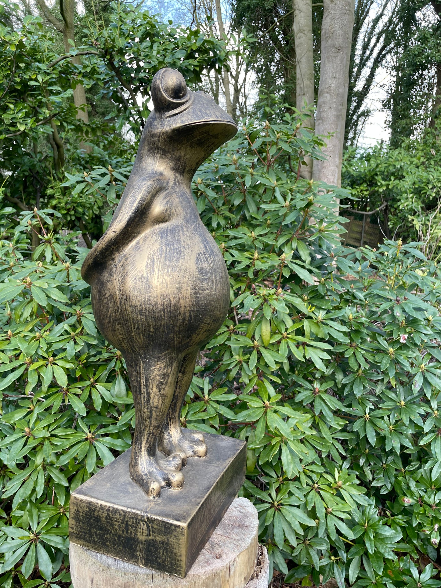 (Tuin)Beeld kikker, tuin, zen, zwembad, vijver yoga 80cm