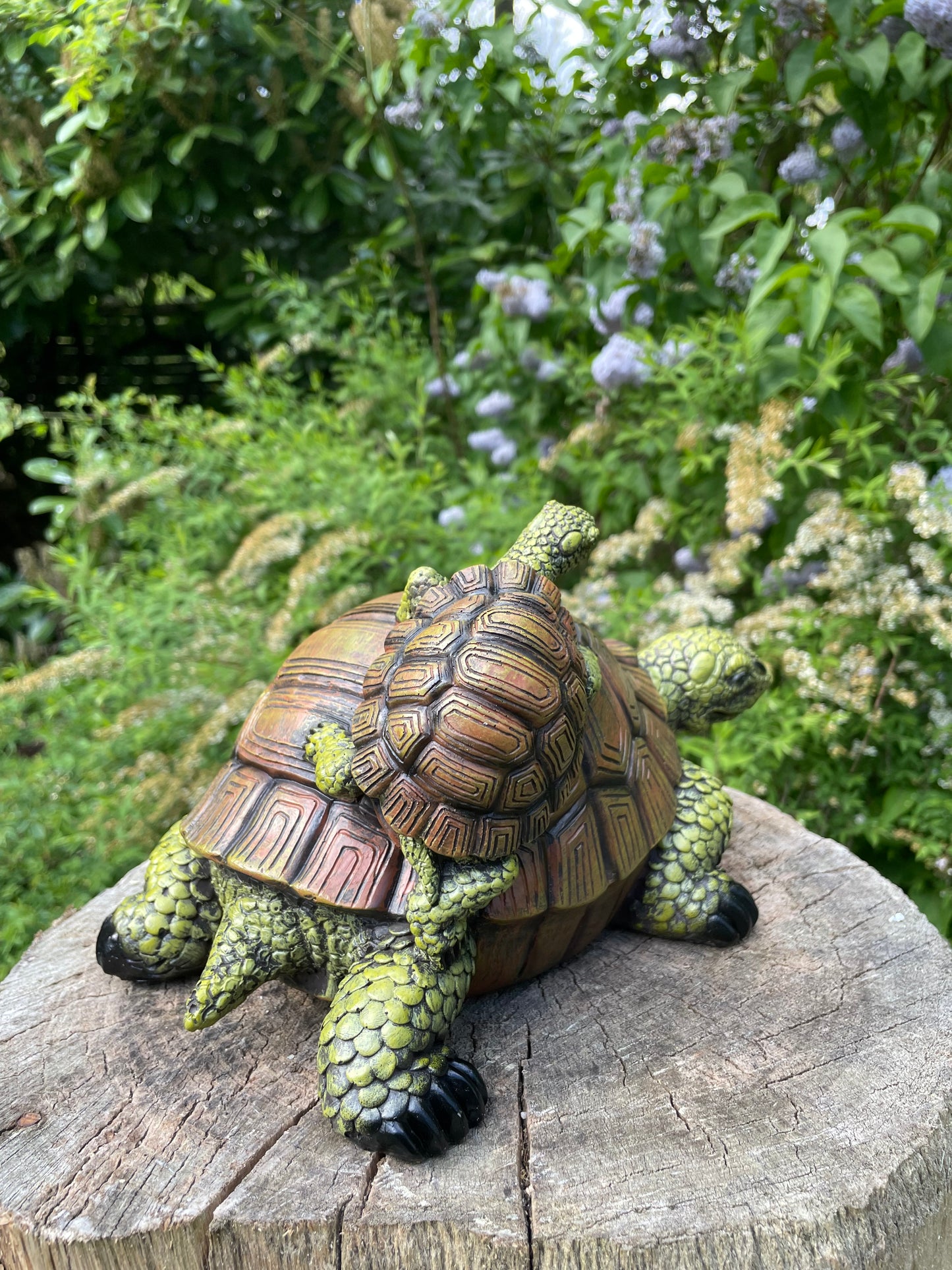 Beeld schildpad, baby gazon, tuin, vijver, 30 cm