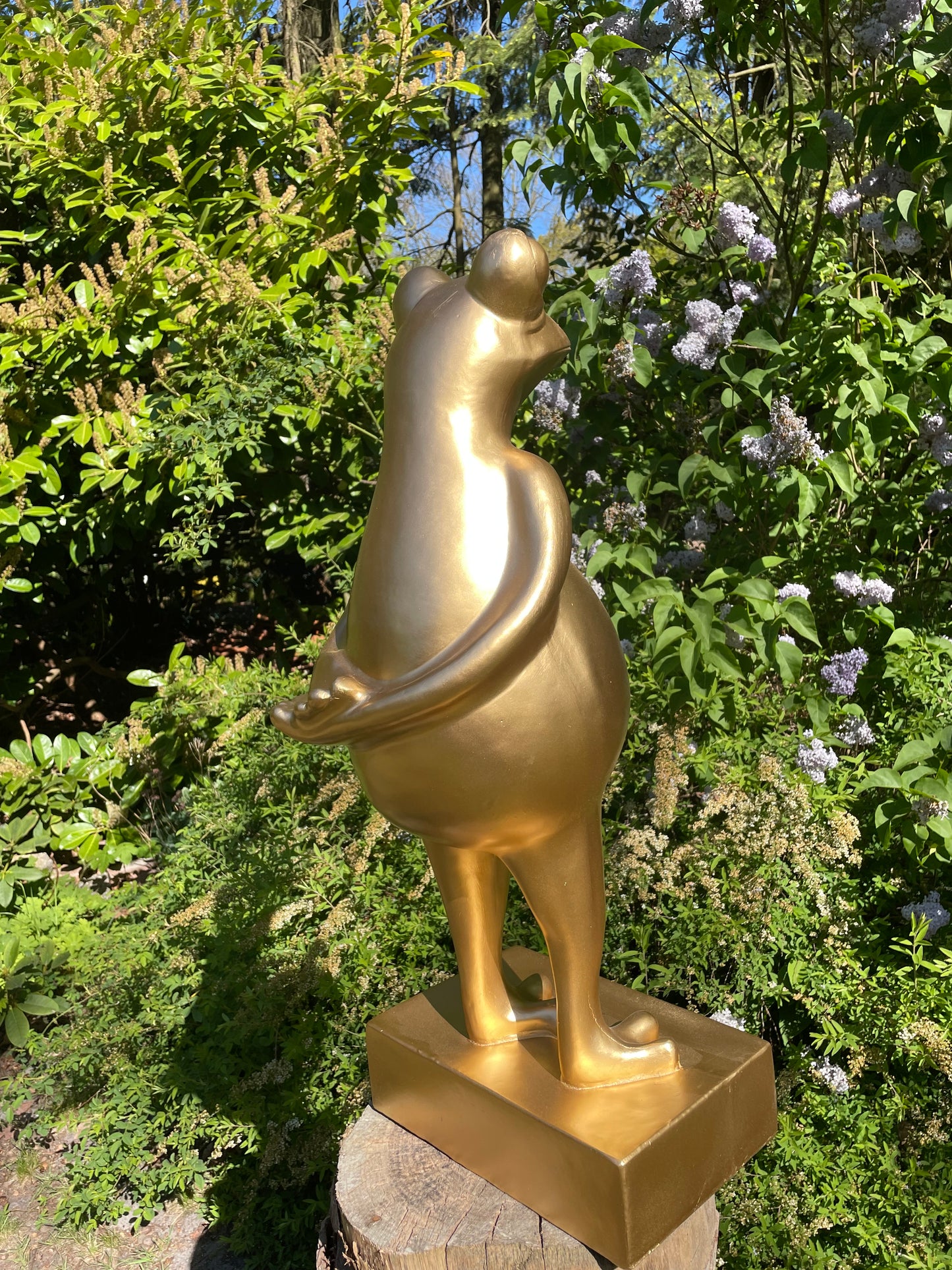 (Tuin)Beeld kikker goud, tuin, zen, zwembad, vijver yoga 80cm