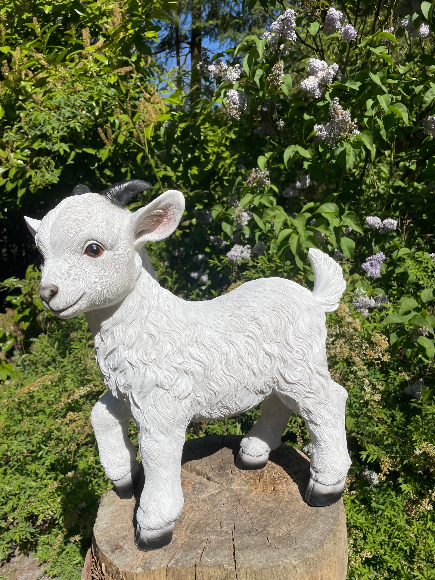 Geitjes, wit, tuin, boerderij, dierentuin 45cm