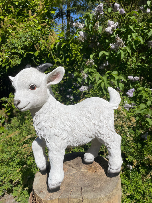 Geitjes, wit, tuin, boerderij, dierentuin 45cm
