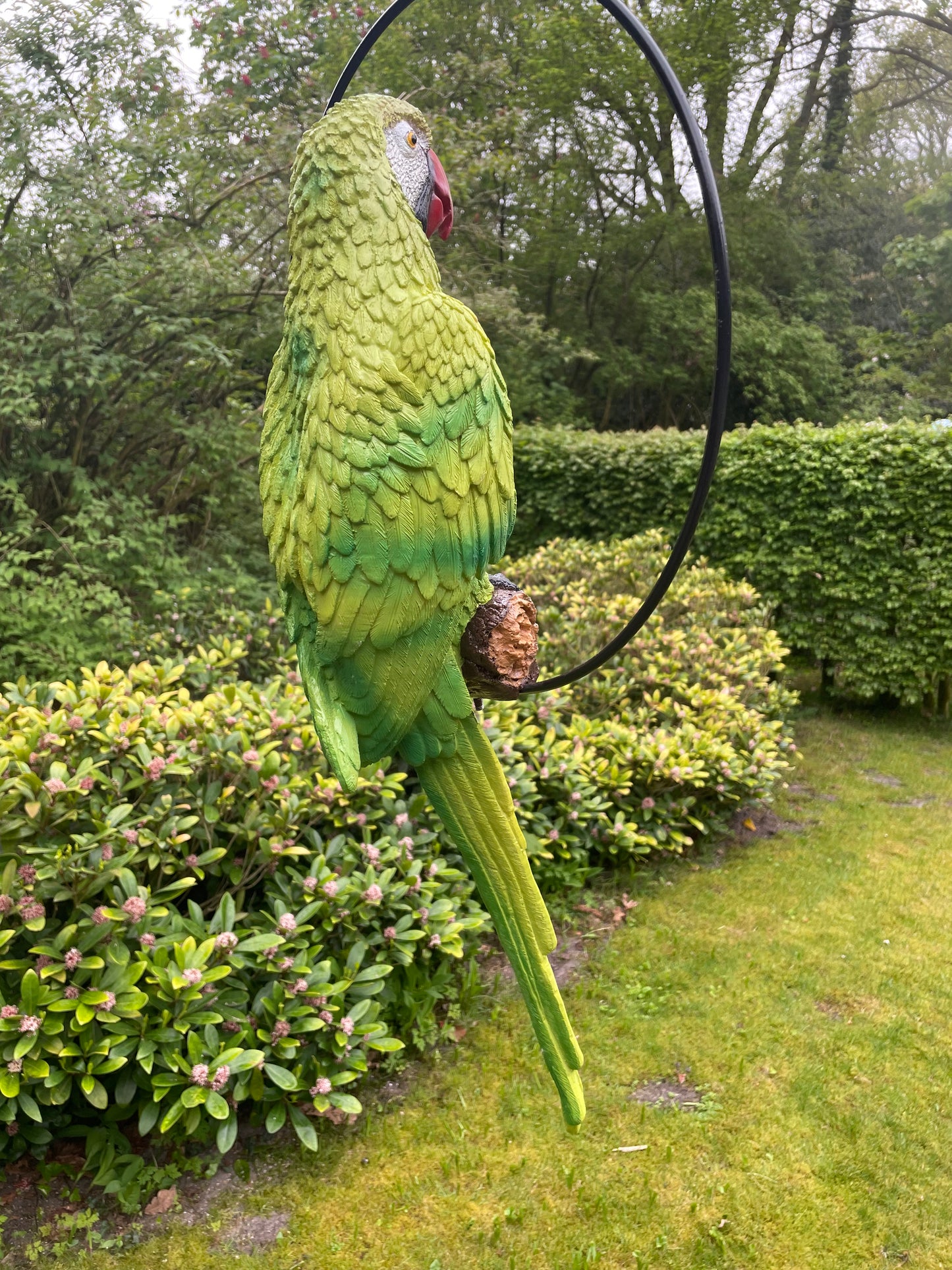 Beeld papegaai Groen tuin, zwembad, vijver, balkon 70cm