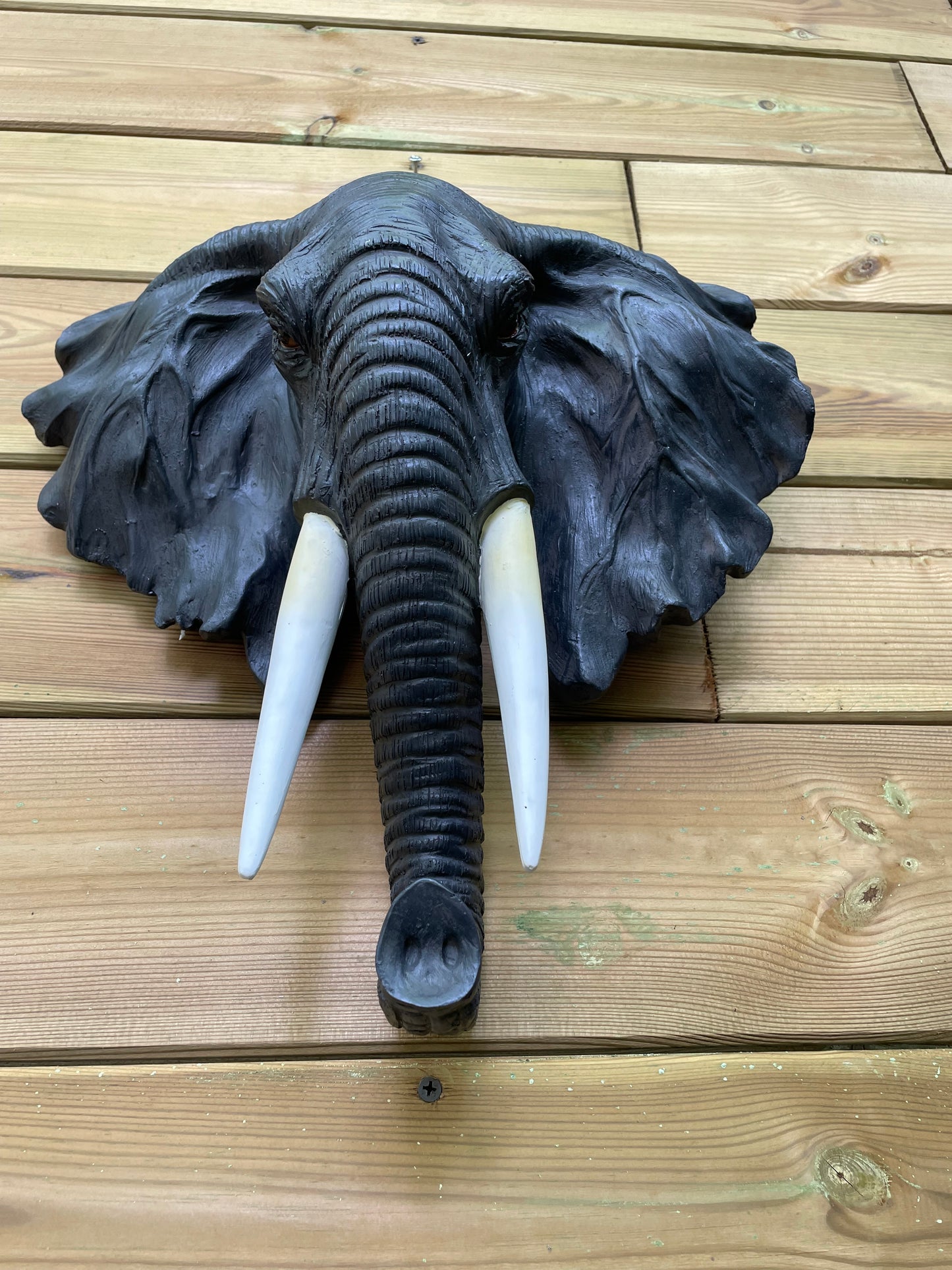 Beeld schild wand olifant grijs tuin, dieren, dierentuin 30cm