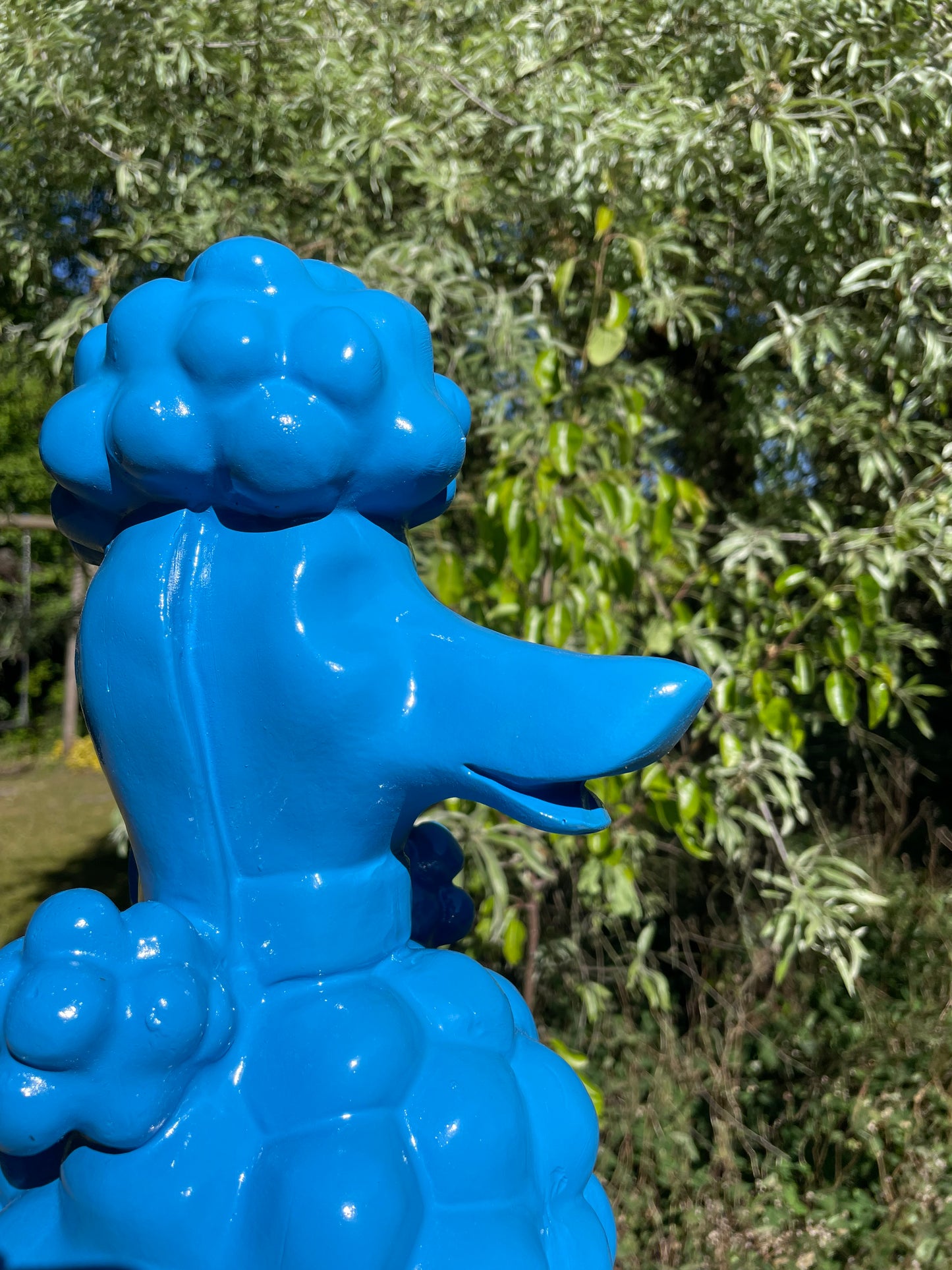 hond poedel blauw abstract, tuin, gazon  60cm