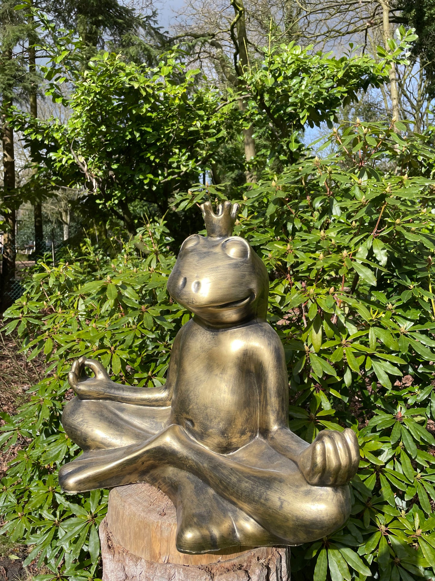 Beeld kikker, tuin, zen, zwembad, vijver yoga 60cm